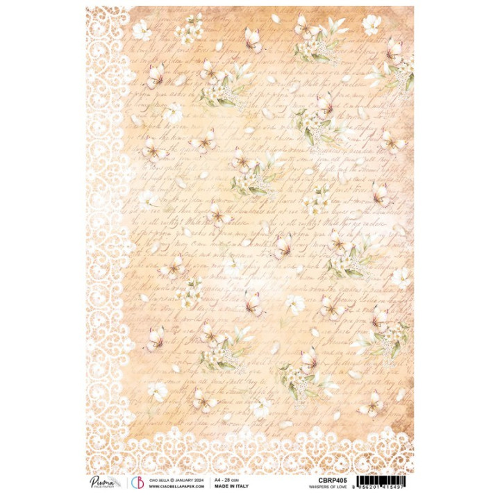 copy of 